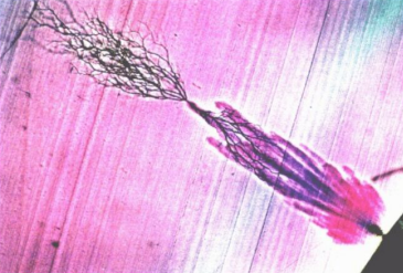 HVA45TD,<a href='http://m.dlhyyoga.com/Ppzq/b2.html'>B2HV</a>