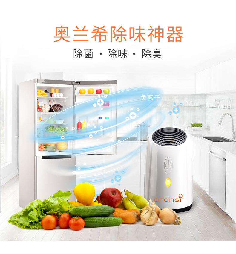 奧蘭希冰箱除味器1 奧蘭希冰箱除味器1