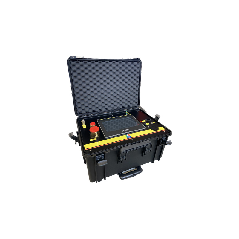 意大利synecom ALY101-05 SF6分析儀