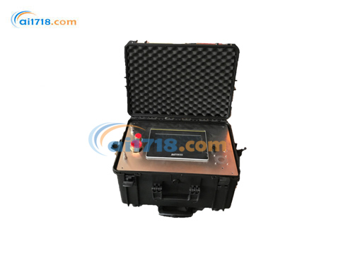 意大利synecom&emsp;ALY101-06 SF6分析儀