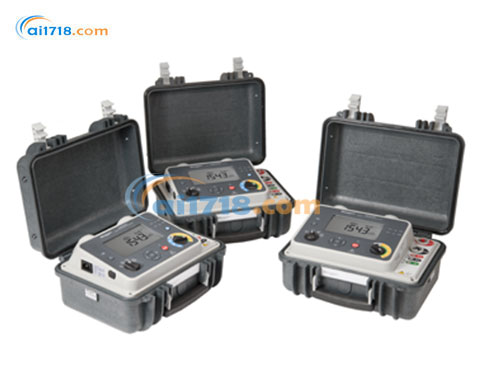 DLRO100XB便攜微歐表