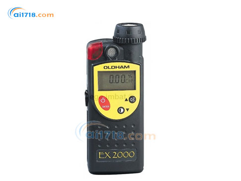 EX2000可燃?xì)怏w檢測(cè)儀