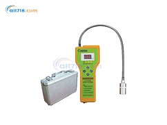 2100H可燃?xì)怏w檢測儀